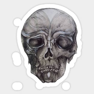 Original Drawing of a Skull Sticker